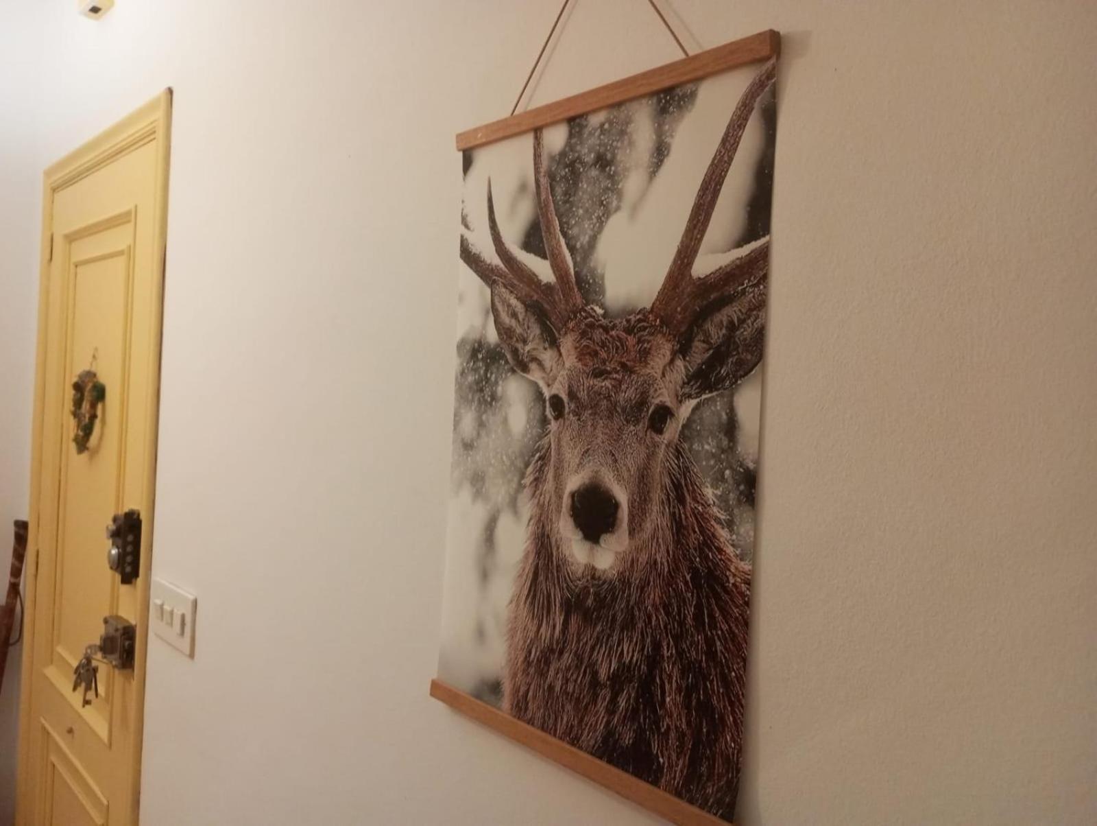 VillasanteCasa Lamelaアパートメント エクステリア 写真